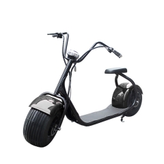 City Electric Scooter Big Wheel With Seat